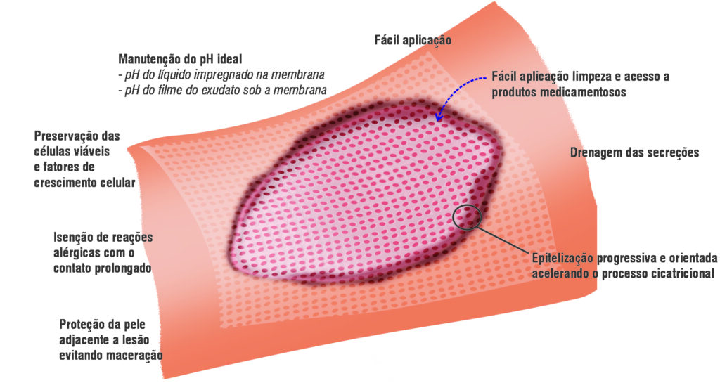 A importância da Fisioterapia para a cicatrização de feridas