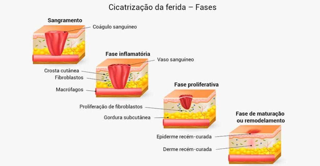 Epiderme: Funções e Importância da Camada Externa da Pele