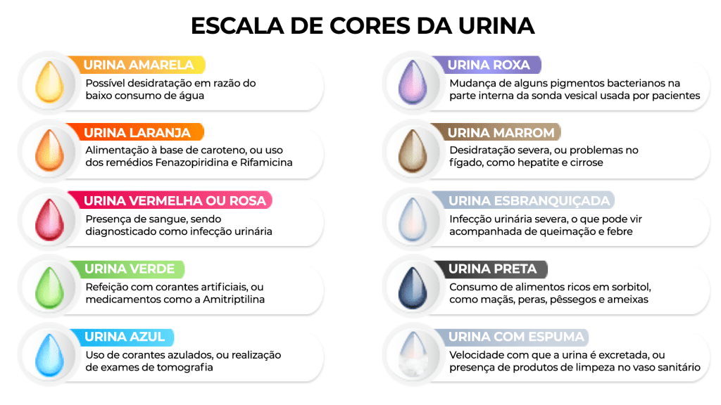 Incontinência Urinária: Causas, Sintomas e Tratamentos Eficazes