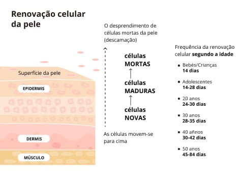 Epiderme: Funções e Importância da Camada Externa da Pele